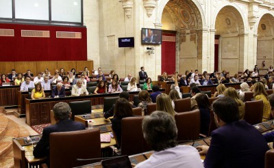 El Pleno del Parlamento de Andalucía aprueba Ley Derechos y Atención a Personas con Discapacidad