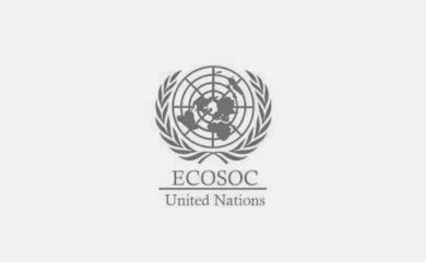 Logotipo de Consejo Económico y Social de la ONU (ECOSOC)